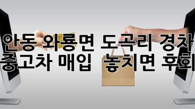 안동 와룡면 도곡리 경차 중고차 매입 🚗💨 놓치면 후회!