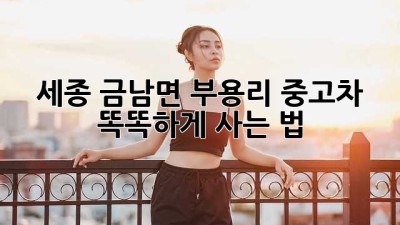 세종 금남면 부용리 중고차, 똑똑하게 사는 법! 🚗💨